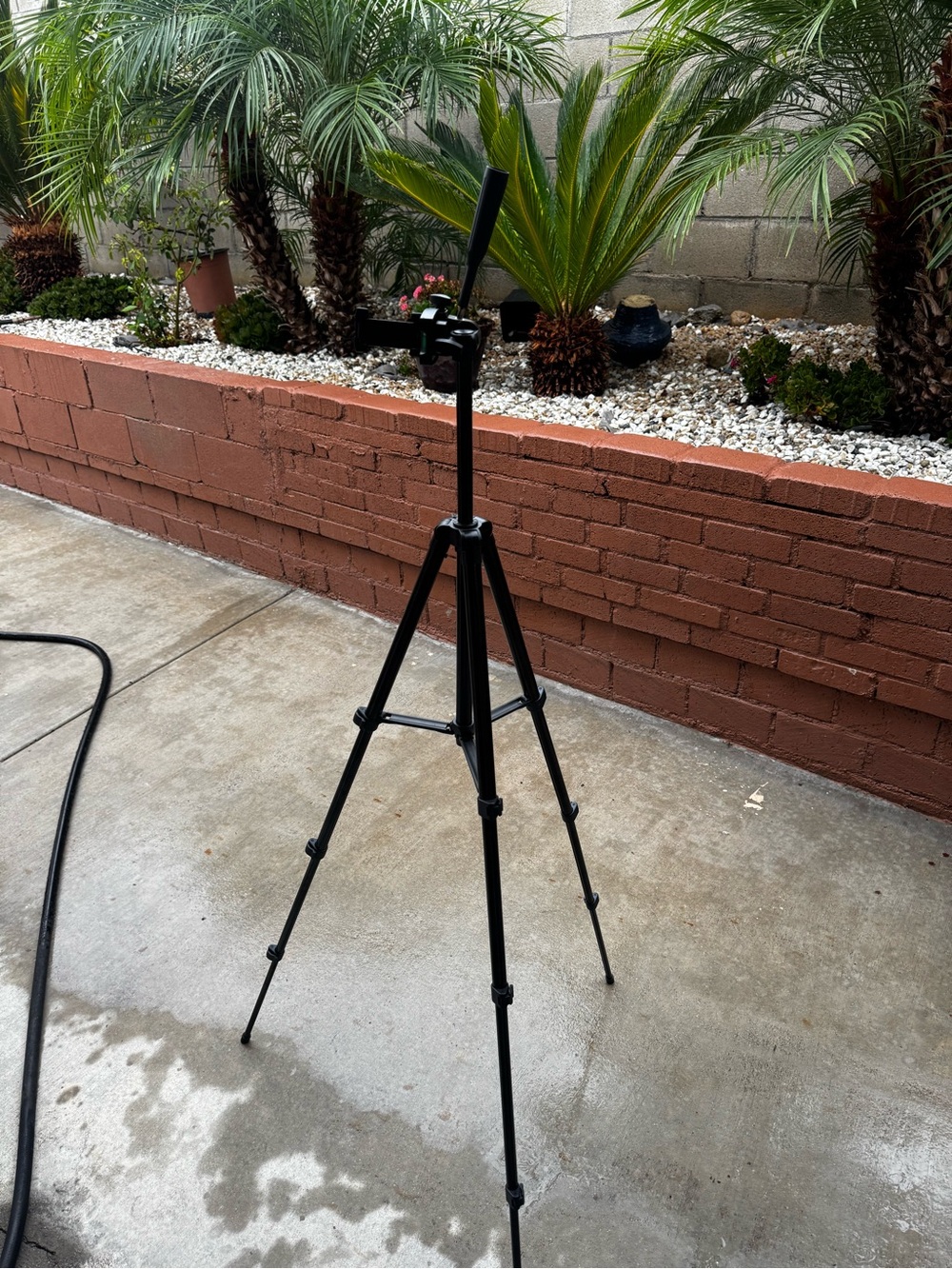 Black Camera Tripod with Bluetooth Control - Adjustable Lightweight Stand